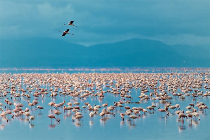 Lake Manyara
